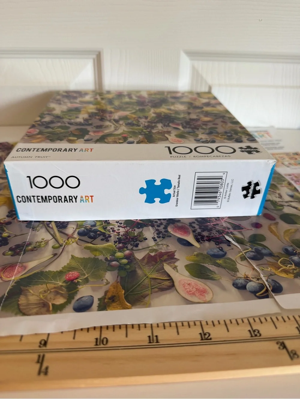 Buffalo Games Contemporary Art Autumn Fruit 1000 piece jigsaw puzzle